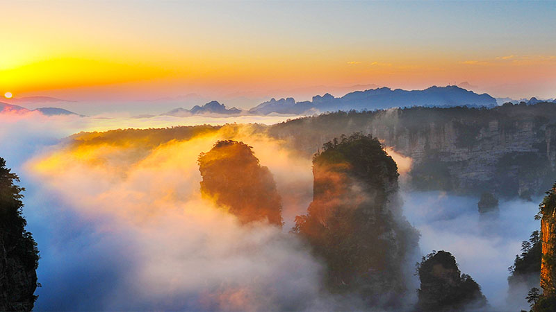 1 Day Zhangjiajie Forest Park Trip