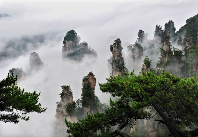 1 Day Zhangjiajie Avatar Discovery