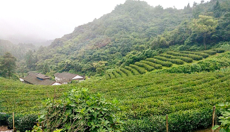 Mingyuan Hotel, Yuanjiajie