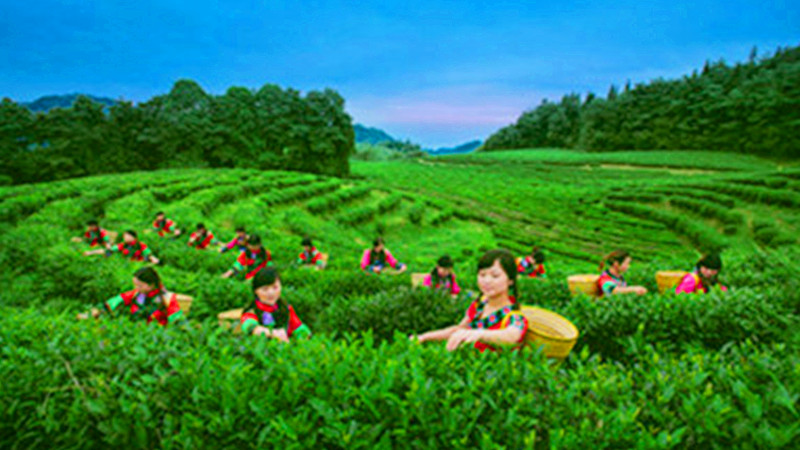 5 Days Zhangjiajie Farm Tour