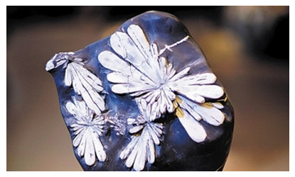 Chrysanthemum Stone