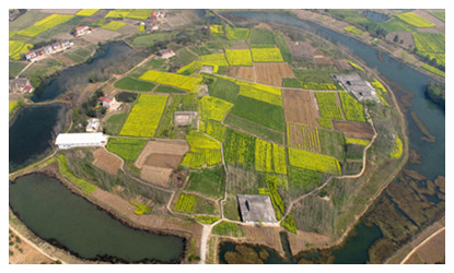 Chengtoushan Historic Site