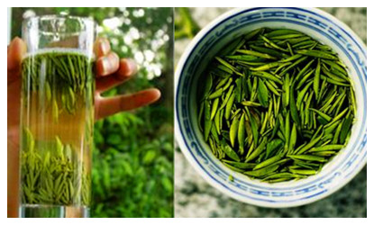  Junshan Yinzhen Tea