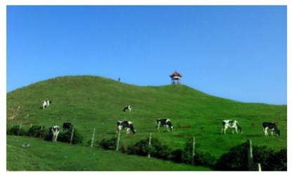 Nanshan Grassland