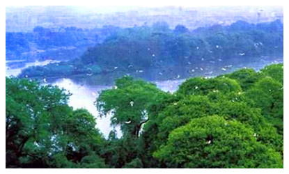 Jiangkou Niaozhou Nature Reserve