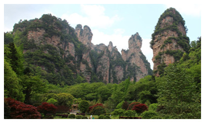 1 Day Zhangjiajie Forest Park
