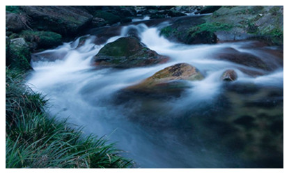 Hiking along the Golden Whip Stream