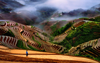 Guilin Longji Rice Terraces