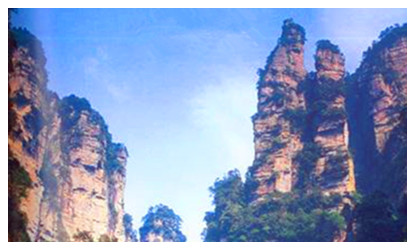 1 Day Zhangjiajie Forest Park