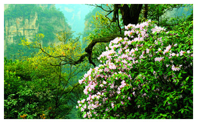 Zhangjiajie Weather