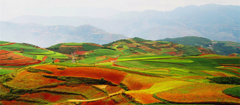 5 Days Yunnan Dongchuan Red Land Tour