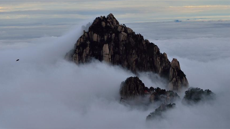 Cloud Sea in the Yellow Mountain