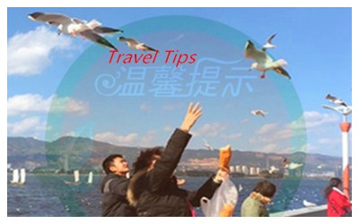 Kunming Travel Tips