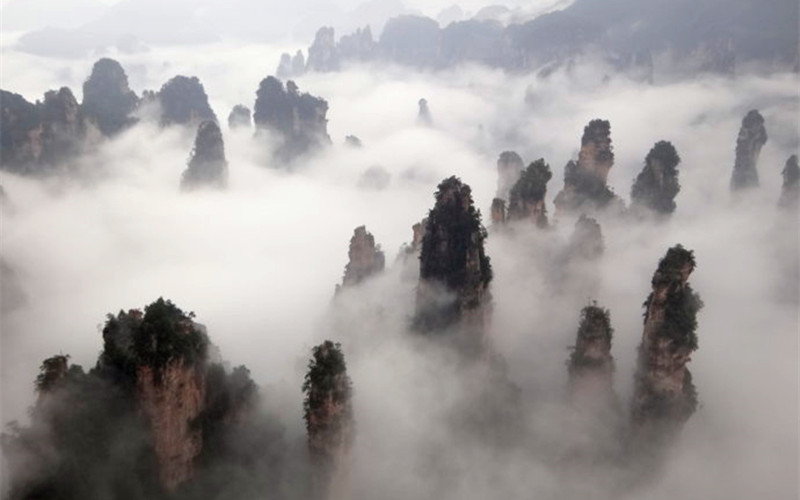 Sea of Clouds at Tianzi Mountain