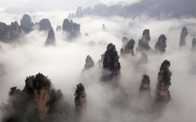 Cloud Sea of Tianzi Mountain