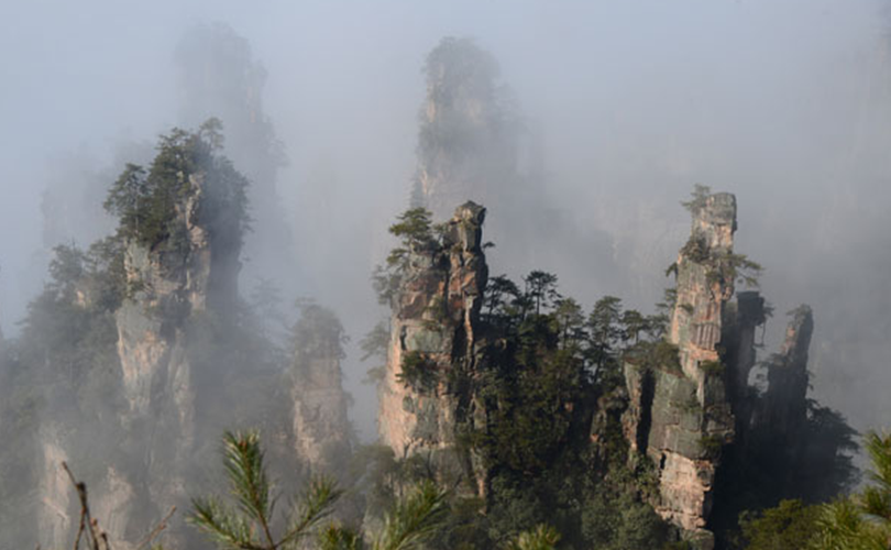 Cloud Sea of Tianzi Mountain