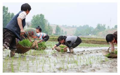 Hubei weather & Climate