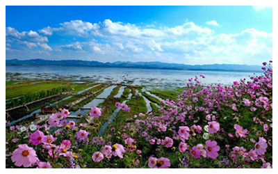 Caohai Lake2.jpg