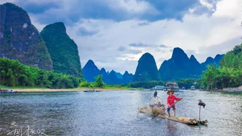 Cormorant Fishing On Li River