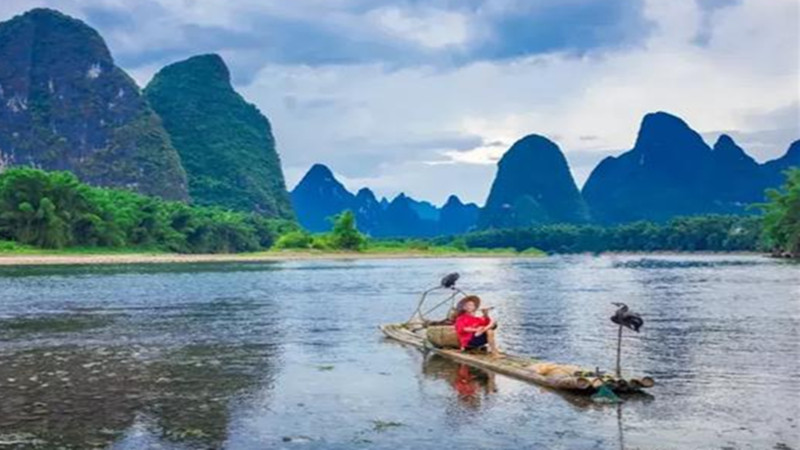 Cormorant Fishing On Li River