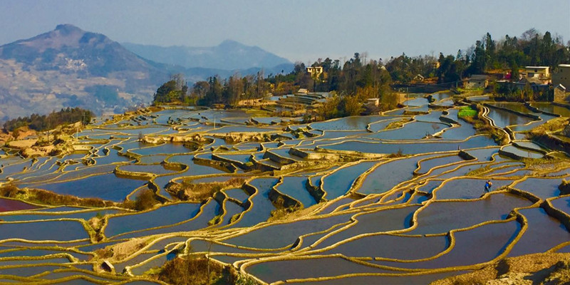 7 Days Kunming Jianshui Yuanyang Tour