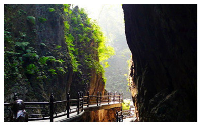 Four Features of Emei Mountain