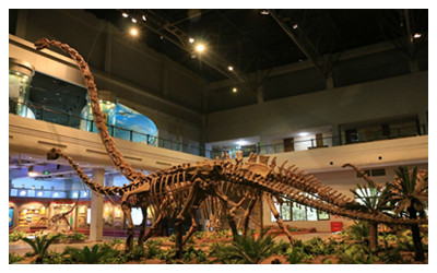 Zigong Dinosaur Museum 