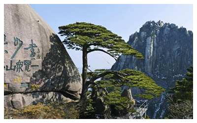 Huangshan 