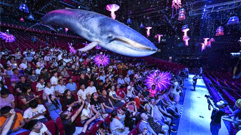 Romantic Show of Zhangjaijie to open to tourists