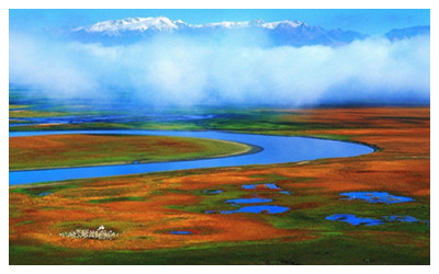 Bayanbulak Grassland 