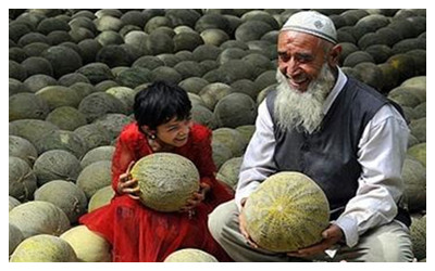 Xinjiang Hami melons