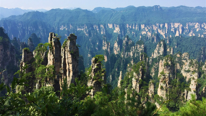 West Sea Stone Peaks Forest