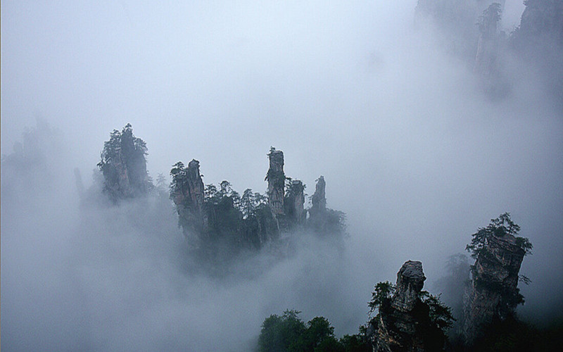 Moonlight at Tianzi Mountain