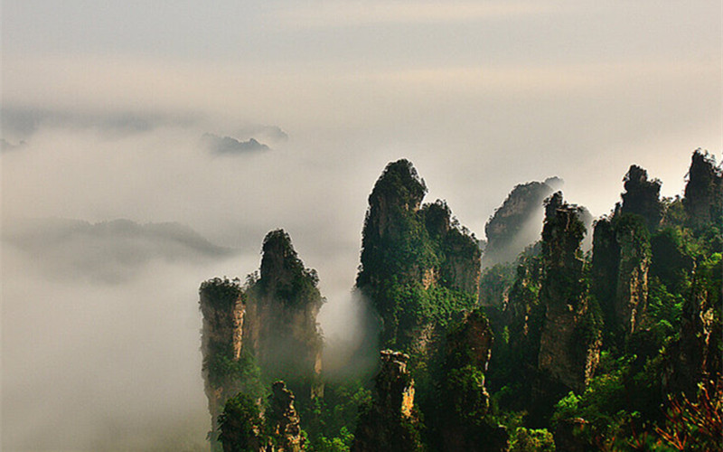 Beautiful Moonlight at Tianzi Mountain