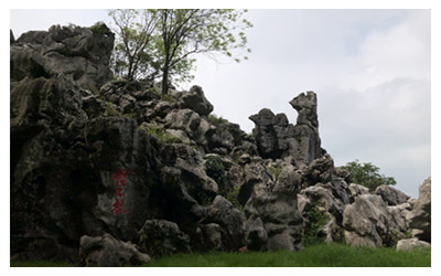 Odd Stone Forest Scenic Spot 